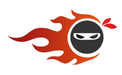 Secondary Logo